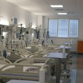 Novi presek stanja u Vojvodini: 25 obolelih od virusa Zapadnog Nila, svi su u bolnici