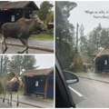 Mirni u Norveškoj put preprečile dve grdosije: Devojka u šoku, ovo u Srbiji ne bi moglo da joj se desi! "Traže Deda Mraza…