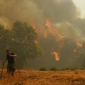 Grčka u plamenu: Više od 100.000 hektara nestalo u vatri za samo 24 sata