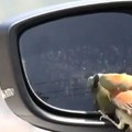 (Video) Oštećuju karoseriju automobila a sada još i ovo! Vozači primorani da prekrivaju retrovizore zbog neobične pojave