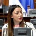 Mesarović: Odluka SAD da ukine carine na srpsku robu izuzetan uspeh za našu ekonomiju