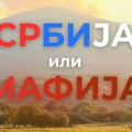 Protestni skup "Srbija ili mafija" večeras u Beloj Palanci: U fokusu ekologija i stanje u zdravstvu