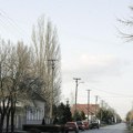Mužlja ovog vikenda u znaku tradicije i zabave: tradicionalni “Buč” donosi bogat program