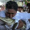 Gradonačelnik meksičkog grada oženio ženku aligatora, građani slave čin ljubavi i novu princezu