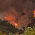 Tenerife zahvatili veliki šumski požari – izgorelo 5.000 hektara šume, evakuisano 26.000 ljudi