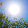 U Beogradu u sedam sati izmereno 28 stepeni, Novom Sadu 23, najniža temperatura u Požegi 18 stepeni