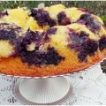 Jedan recept, bezbroj ukusa: Napravite savršen kuglof sa borovnicama, kajsijama ili kupinama