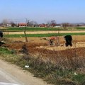 Leskovac raspisao Konkurs za dodelu podsticajnih sredstava za razvoj poljoprivrede