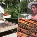 Ovako je Marina iz Leskovca sačuvala svoje pčele: Jedinstvena pčelarka iz leskovačkog kraja pomaže i drugima da obnove…