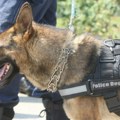 Policijski pas otkrio drogu: Uhapšen Crnogorac u Bogutovcu sa dva kilograma heroina: Evo gde je skrivao tovar