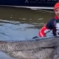 Upecali ogromnog soma i zanemeli od šoka kad su ga izvukli na obalu - "Nismo verovali svojim očima, imao je glavu kao…