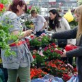 Ne propustite Cvetnu pijacu: Bogata ponuda sadnica i razmena starog papira za biljke ispred Spensa
