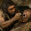 Zubari iz praistorije Naučnici utvrdili da su neandertalci su mogli da izvode stomatološke intervencije