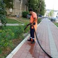 JKP „Mediana“ danas na terenu: Košenje, čišćenje i orezivanje širom Niša