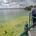 "Ovo su aplokaliptične razmere": Najveće britansko jezero prekriveno toksičnim algama, preti ekološka katastrofa (foto…