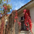 Danas tokom dana sunčano uz temperaturu do 15°C