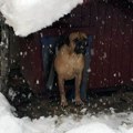 (Video) Zabelela se Hercegovina! Sneg kod komšija vejao čitavu noć! Pogledajte snimke zimske idile usred jeseni