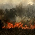 Osam sela evakuisano Izbio veliki šumski požar u Grčkoj
