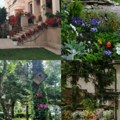 Zemunci imaju najlepše bašte: Na gradskom takmičenju, sugrađani iz opštine na Dunavu trijumfovali u sedam od devet…