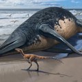 Ihtiotitani – novi fosili otkrivaju džinovskog morskog gmizavca velikog skoro kao plavi kit