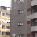Bubašvabe napale Šabac, mile svuda, žena ih našla i u dečjem krevetu: Hitno se oglasio veterinar