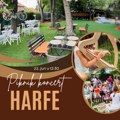 Harfistički piknik u Beogradu: Zvuci harfe pod krošnjama drveća