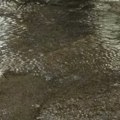 Čitaoci javljaju: Pukla cev u ulici Otona Župančiča, jedno dvorište poplavljeno