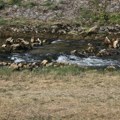 KAMERA GORI I NE MIRUJE: Ko se sunca "boji", neka "bega u debelu ‘ladovinu"!