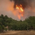 Zamenik načelnika: Teško je reći kada će požari u Deliblatskoj peščari biti lokalizovani, najveći problem vetar