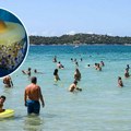 Najezda meduza "jaje na oko" prestrašila kupače: Rastu i do 30 centimetara, otkriveno da li su opasne (foto)