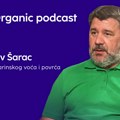 Pravnik je golim rukama raskrčio šumu, a danas čuva 400 sorti voća: „Bez kalemara bi mnoge nestale“