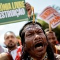 Nema dogovora južnoameričkih država o okončanju krčenja šuma Amazonije
