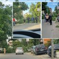 Košava divljala Beogradom: Jak vetar napravio potpuni haos Stabla padala na automobile, odvaljen deo bilborda (foto/video)