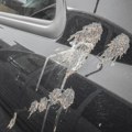 Kako ukloniti ptičji izmet sa automobila bez oštećenja laka