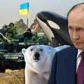 Putin se uživeo u ulogu predatora, evo od čega NATO strepi: Pričom o orkama i polarnim medvedima opravdao rat u Ukrajini, dok…