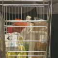 Demostat: Hrana u Srbiji košta skoro kao u EU, dok je životni standard gotovo upola niži