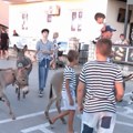"Najtvrdoglavije" takmičenje na Jadranu: Kako je trka magaraca od "munještine" postala čuvar tradicije