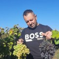 Nenad je sa sinom ostao na porodičnom imanju i započeo biznis u vinogradarstvu: Samo ove godine su prodali 10 tona, rod i…