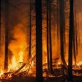 Šumski požari u Turskoj,evakuisani gosti dva hotela u okrugu Kušadasi