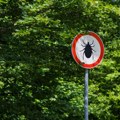 Kako se zaštititi od krpelja dok ste u prirodi? Nekoliko stvari je najvažnije - obratite pažnju