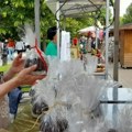 Festival kuglofa dva vikenda zaredom Svetkovina u čast čuvenog kolača