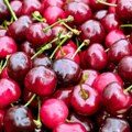 U Japanu ukradene trešnje u vrednosti od 6.900 evra