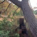 (Uznemirujući sadržaj) rotvajler obešen Blizu deponije! Zastrašujuća scena uznemirila stanovnike Zadra! (foto)