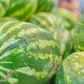Stigle Prve lubenice sa severa Banata Miris i ukus vraćaju u detinjstvo, evo koliko košta kilogram