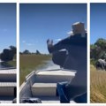 Slonica nasrnula na čamac, turisti zamalo Da upadnu u reku punu krokodila! Dramatičan video iz Bocvane (video)
