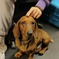 Da li ga neko traži? Ušao u voz u Valjevu i krenuo za Beograd (foto)