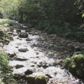 (Foto) Puno je pećina u Srbiji, ali samo je jedna vodena! Kanjon reke Panjice veličanstven je kao i vodopad koji oduzima dah