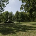 Beograd pravi zeleni štit od sve većih vrućina: Parkovi, drvoredi i šume postaju jedan sistem