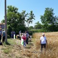 Na “Danima polja pšenice” u Rakovcu promovisani novi hibridi strnih žita