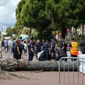 Povređen muškarac na Kanskom festivalu, na njega pala palma dok se šetao